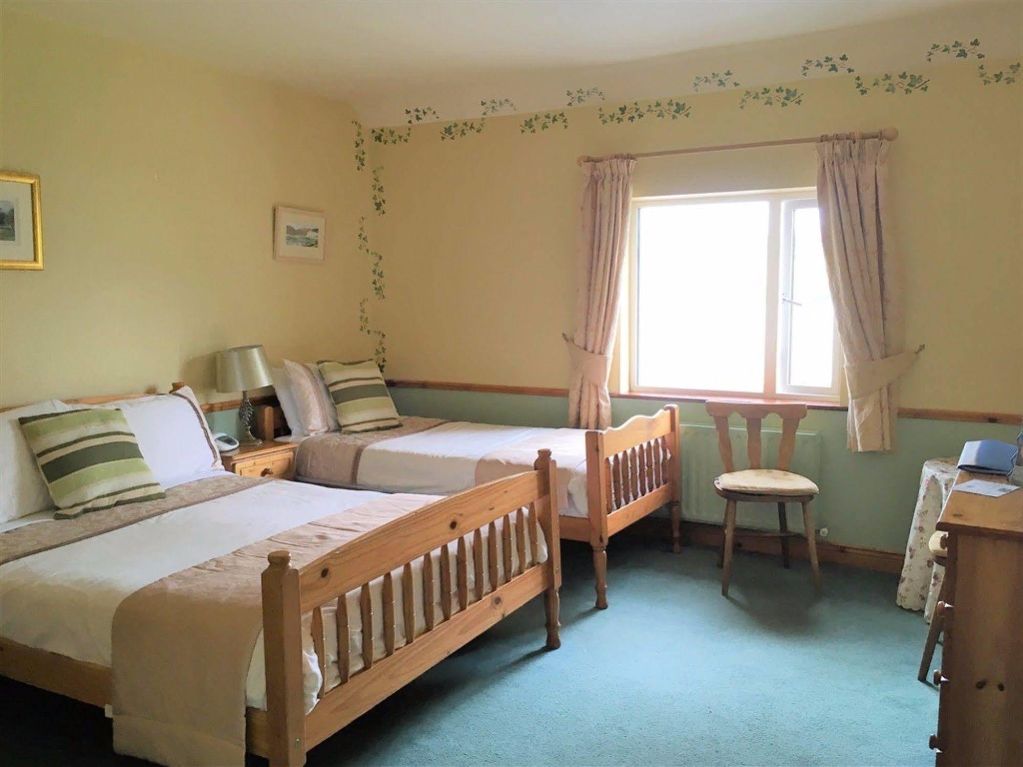 O'Connor'S Guest House 丁格尔 外观 照片