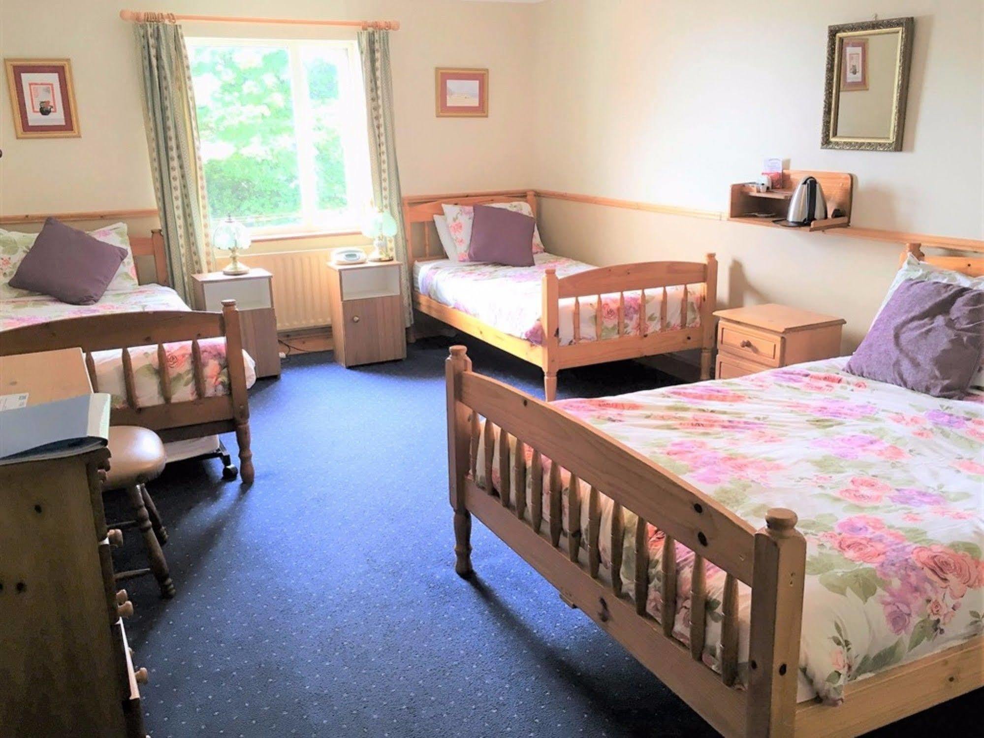 O'Connor'S Guest House 丁格尔 外观 照片
