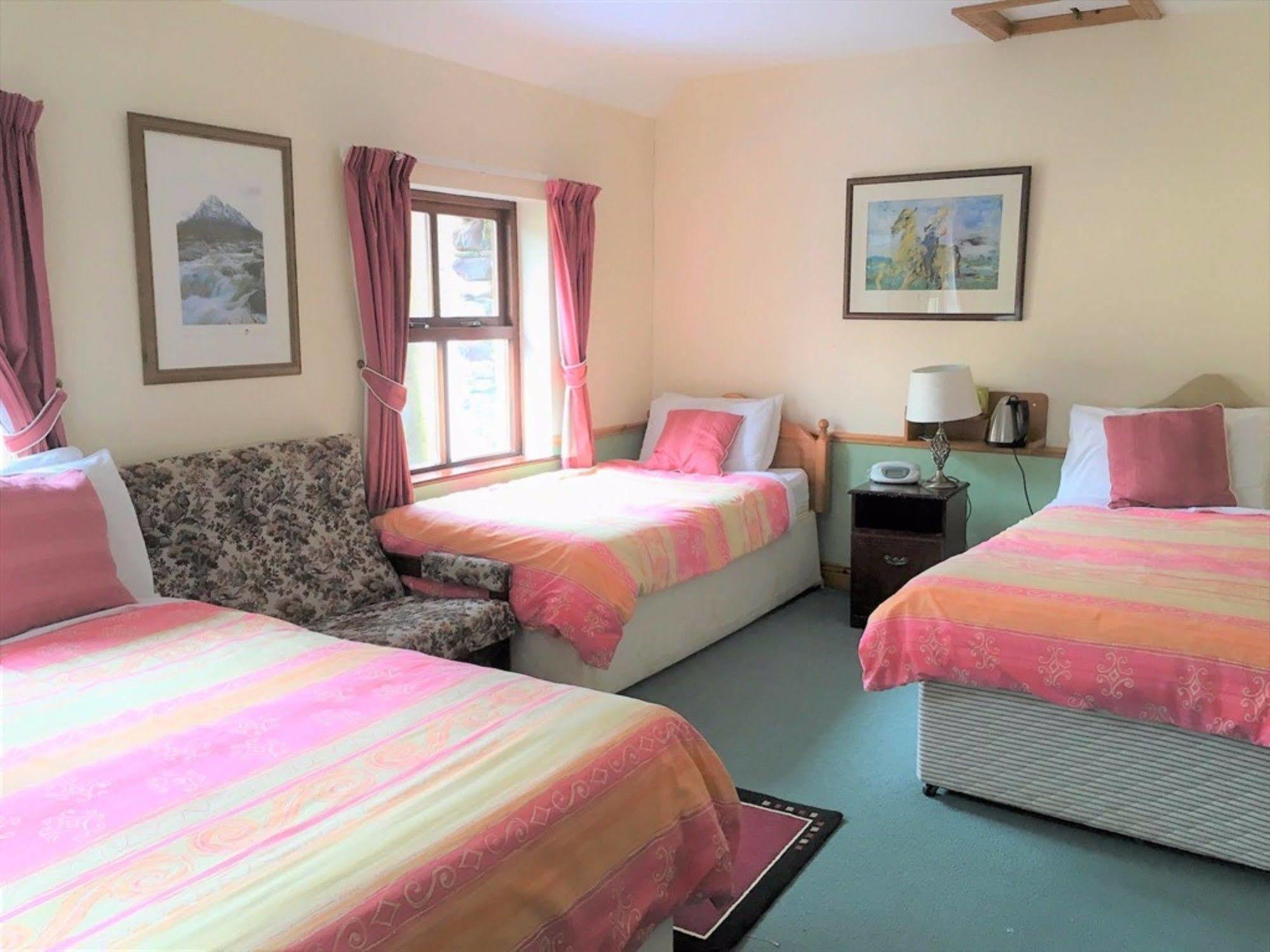 O'Connor'S Guest House 丁格尔 外观 照片
